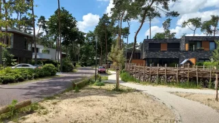Vrijstaande huizen met veel groen