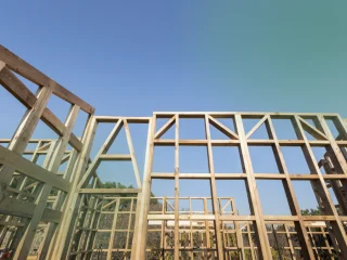 Houten skelet