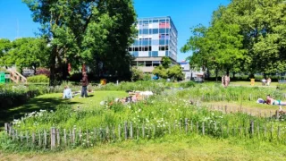 Park in Amsterdam